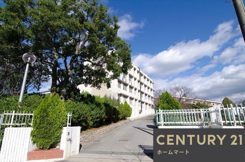 一戸建て香里ケ丘８ 4580万円・4780万円の詳細情報 14