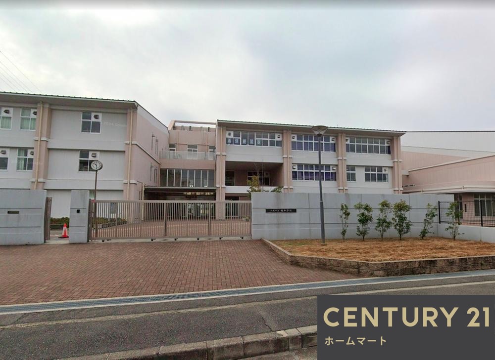 一戸建て八尾市新家町 全３邸 一戸建て第１期の詳細情報 23