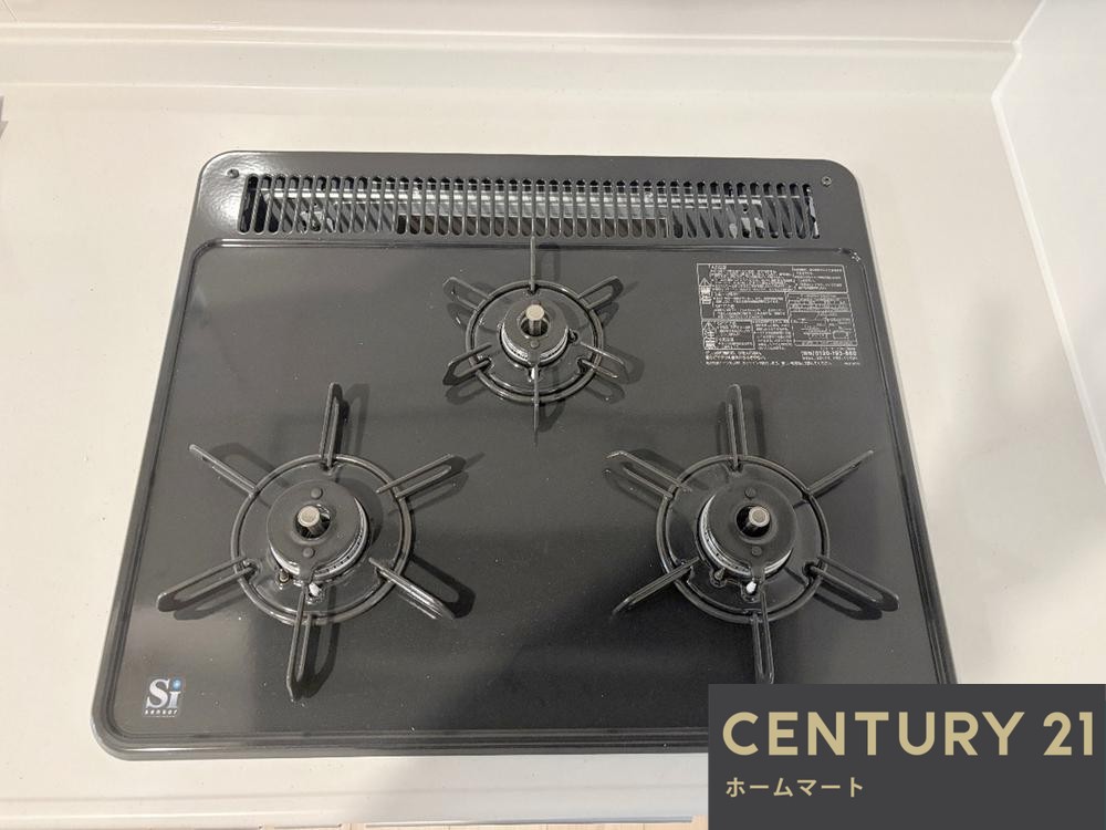 一戸建て高槻市永楽町 全1邸 一戸建ての詳細情報 11