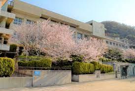 一戸建て柏原市高井田 全２邸 一戸建て第３期の詳細情報 21