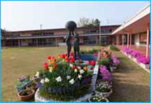 一戸建て丹波市町（天理駅） 3880万円・3980万円の詳細情報 16