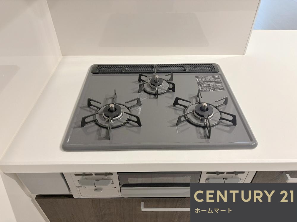 一戸建て摂津市鳥飼下 全3邸 一戸建て 第1期の詳細情報 13