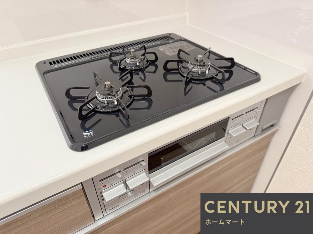 一戸建て豊中市桜の町 6期 全1邸 一戸建ての詳細情報 10