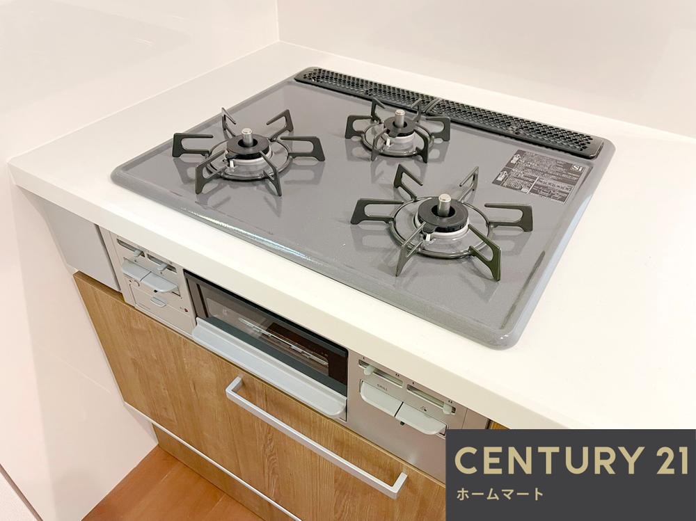 一戸建て高槻市東五百住町二丁目 限定１邸 一戸建ての詳細情報 13