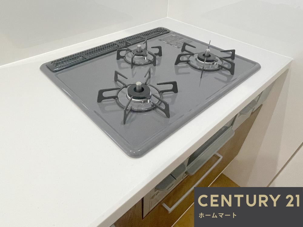 一戸建て伏見区向島庚申町 第３期 一戸建ての詳細情報 17