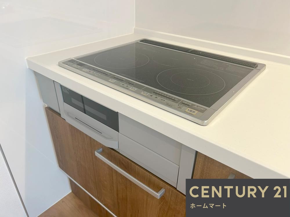 一戸建て高槻市氷室町 限定１邸 一戸建ての詳細情報 11