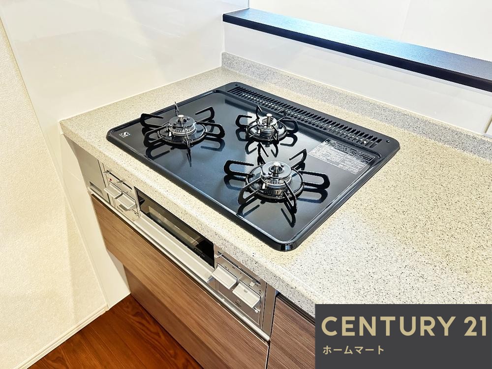 一戸建て大和郡山市九条町 全2邸 一戸建て第11期の詳細情報 11